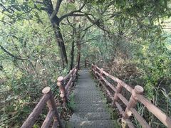 -缙云山景区
