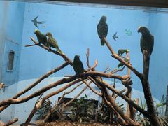 -上海动物园(地铁站)