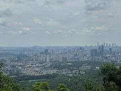 -紫金山山顶公园