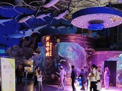 -烟台海昌鲸鲨海洋公园