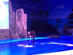 -华夏文旅海洋公园