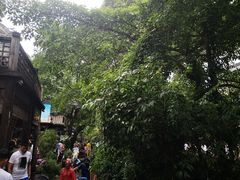-黄龙溪古镇
