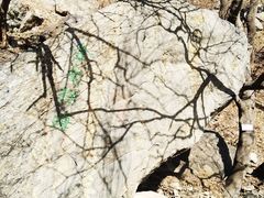 -北京鹫峰国家森林公园