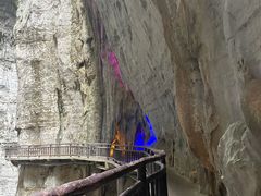 -武陵山森林公园