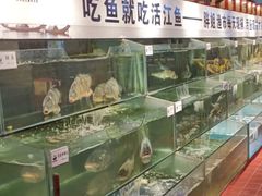 -胖姐渔村(中源大道店)