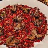 大隐于市的禅意小院，拍照打卡也很适合📸