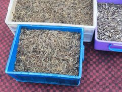 -正宗天津烧麦馆(柳州路店)