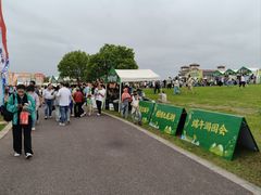 -九龙湖公园