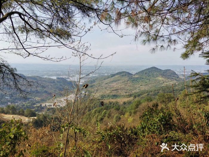 大洪河水库图片