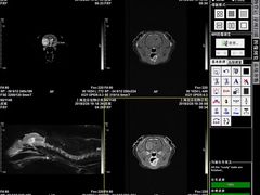 -睿金宠物医院·CT·肿瘤·骨外科
