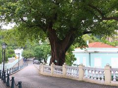 -龙环葡韵住宅式博物馆