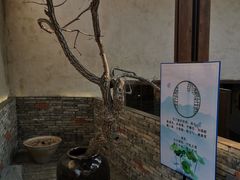 -几荷·恰似故人来(秀水广场店)