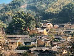 -杨家堂村