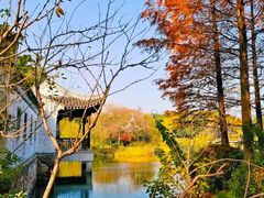 -尚贤河湿地