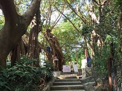 -小南山公园