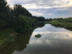 -东郊湿地公园