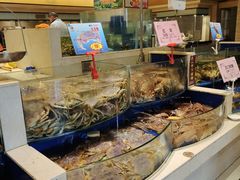 水产区-海景壹号大酒店(滨湖店)