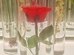 -北京中医药大学-中医药博物馆
