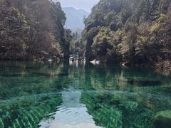 -石台牯牛降景区
