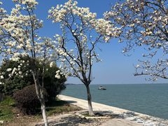 -阳澄湖半岛旅游度假区