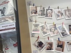 -瑞派康怡24h宠物医院·犬猫医疗中心·微创绝育(瑞景分院)