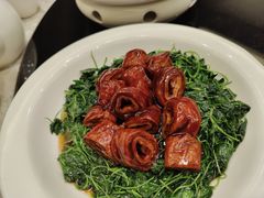 -新南华大酒店(广中店)
