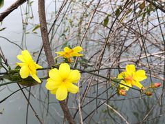 -上海市龙华烈士陵园