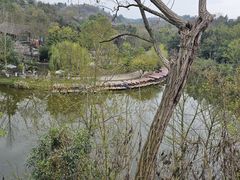 -五凤溪古镇