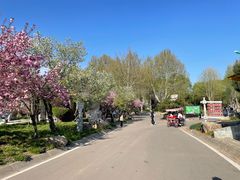 -石家庄市植物园