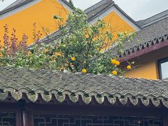 -圆通寺
