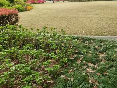 -徐家汇源景区-衡山公园