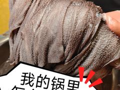 -山城棒棒军手作火锅·天花板手撕水牛鲜毛肚(北京店)