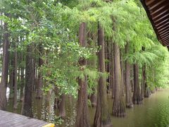 -采石矶景区