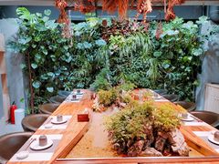 -森味薪火烧•烧鸟居酒屋•日本料理(望京店)