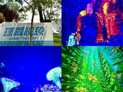 -南戴河国际娱乐中心