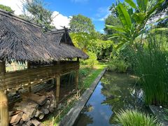 -中国科学院西双版纳热带植物园