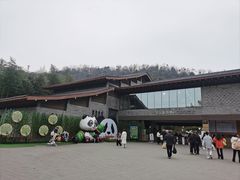 -都江堰中华大熊猫苑