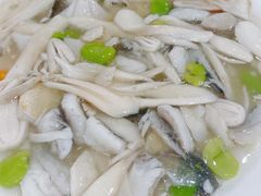 糟溜菌菇黄鱼片-光明邨大酒家(汇阳广场店)