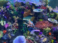 -成都浩海立方海洋公园