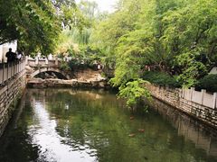 -趵突泉景区