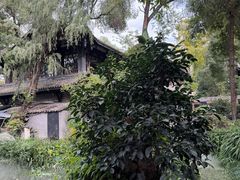 -大妙火锅·非物质文化遗产(东湖公园店)