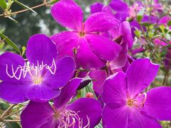 -风云岭森林公园