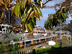 -布里斯班南岸公园