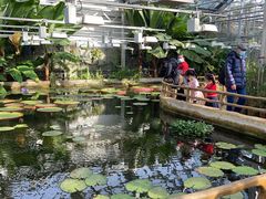 -国家植物园南园