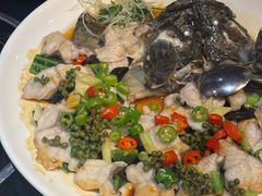 鲜花椒蒸龙趸-任兴记(定西路店)