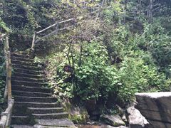 -神农架香溪源景区