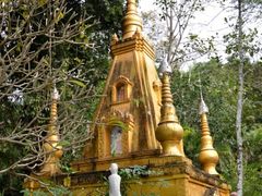 -莫里热带雨林景区