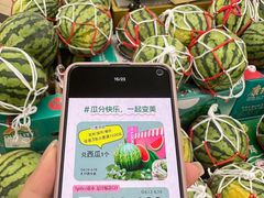 -东莞君尚