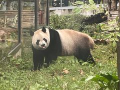 -黔灵山公园