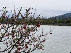 -墨潭桃花岛风景区